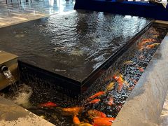 -弘安丽水温泉酒店