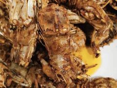 -芭菲盛宴·环球美食(锦城万达广场店)