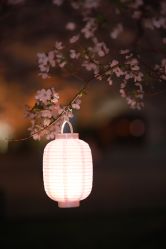 点击看大图 -汉仪华裳汉服馆(打浦桥店)