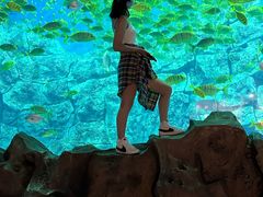 -芜湖新华联大白鲸海洋公园