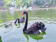 -西安秦岭野生动物园