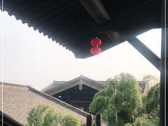 -大唐贡茶院