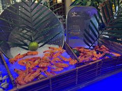 -万达瑞华酒店美食汇自助餐厅(楚河汉街店)