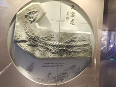 -贵州省地质博物馆