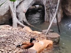 -长鹿旅游休博园