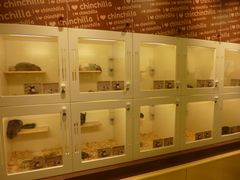 -龙猫仔乐园(惠福东路店)