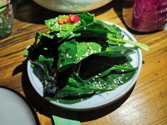孜然笨菠菜-胡桃里音乐酒馆(东区店)