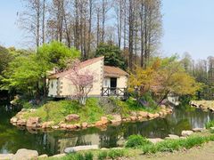 -上海共青森林公园