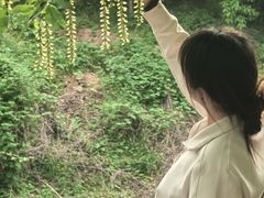 -冶父山国家森林公园