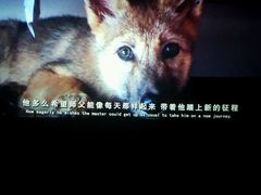 -幸福蓝海国际影城(杜比巨幕店)