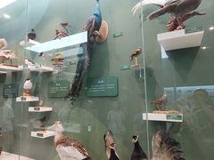 -国家自然博物馆