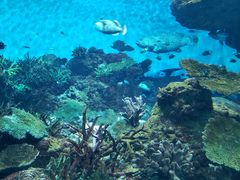 -鹿儿岛水族馆