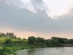 -东郊湿地公园