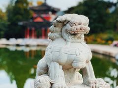 -香山公园