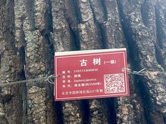 -北京上方山国家森林公园
