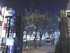 -九龙公园