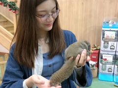 -藦茜花园宠物主题亲子互动体验馆(国顺东路店)