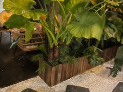-ChitChat奇洽·Bistro(黎黄陂路店)