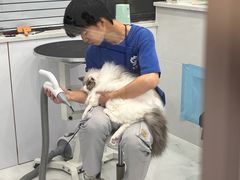 -老吴的猫·猫舍(新区店)