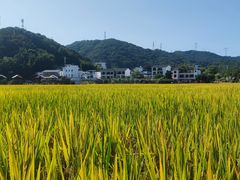 -K·Kitchen KK牛扒厨房(江南西店)