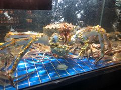-徐记海鲜(观沙岭|滨江新城店)