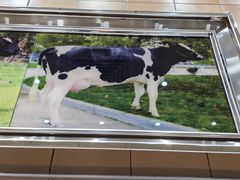 -义顺牛奶公司(新马路老店)