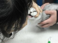 -联合动物医院(光谷诊疗中心)
