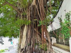 -乌山风景区