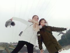 -梦幻奥陶纪景区