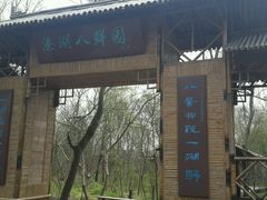 -溱湖国家湿地公园