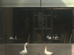 -长富宫饭店·日本料理樱