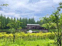 -黄海国家森林公园
