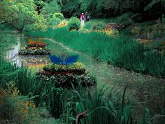 -上海共青森林公园