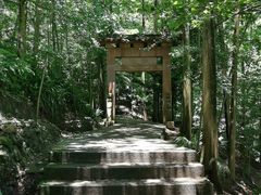 -凤栖山
