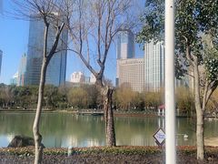 -新虹桥中心花园