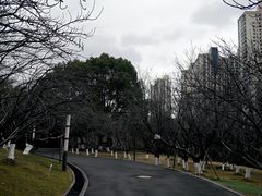 -苏州河梦清园环保主题公园