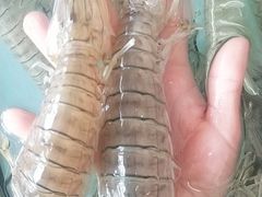 -原龙海鲜大排档(美食地标店)