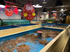 水产区-日进一片海.生腌海鲜火锅.宵夜烧烤(三里屯总店)
