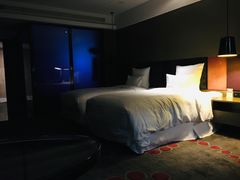 -南京禄口机场雅高铂尔曼大酒店