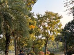 -枫香湖儿童公园