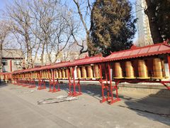 -护国法轮寺
