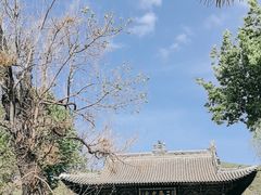 -晋祠公园