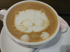 -猫色咖啡·猫咖