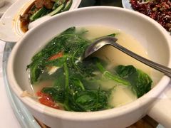 招牌鸡汤豌豆尖-眉州东坡(中日友好医院店)