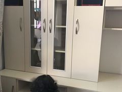 -佰丽爱家全屋定制(汶水店)