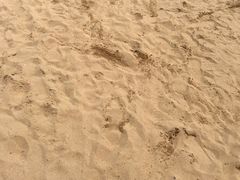 -碧海金沙