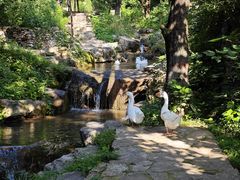 -云丘山景区