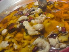 -雲蜀龙阁·金牌水煮鱼(方庄店)