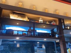 -纳瓦新疆菜(银都店)