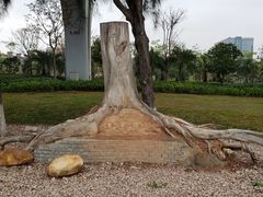 -宝安西湾红树林湿地公园